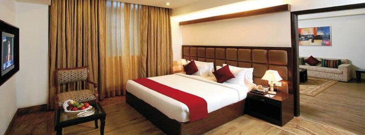 553/Taurus Sarovar Portice - New Delhi 08.jpg